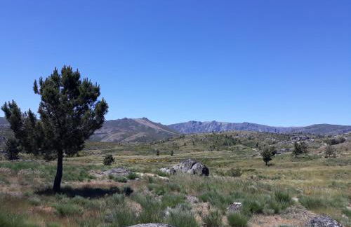 A Mansão do Mé-Mé - Foto 42