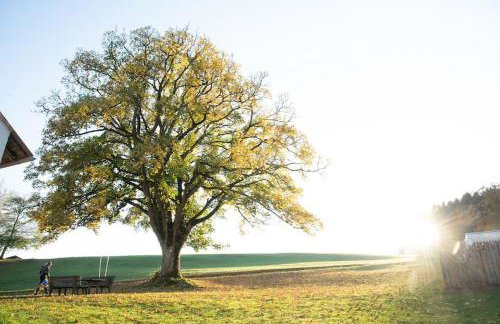 Ferienhof Stöhrmühle - Foto 40