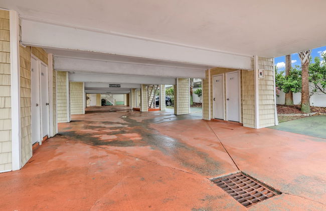 Island palms - Foto 30