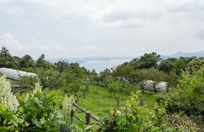 Unique Holiday Experience in Greenery near Lake - Foto 37