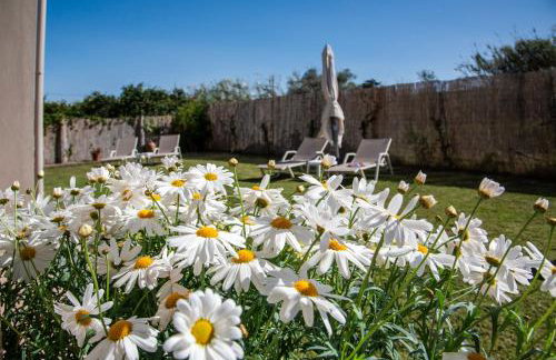 Meraki Cretan Hospitality - Foto 23