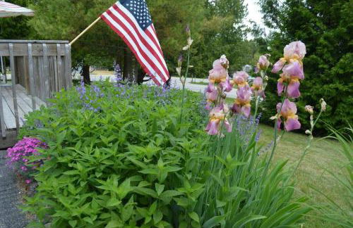 Carraig Beag Cottage - Foto 7