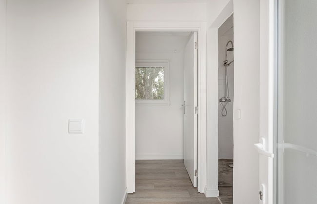 Pinhal da Praia em Melides - Foto 34