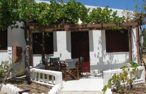 Sunrise Apartments - Photo 64