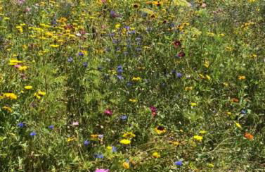 Gîte des Roses - Foto 67