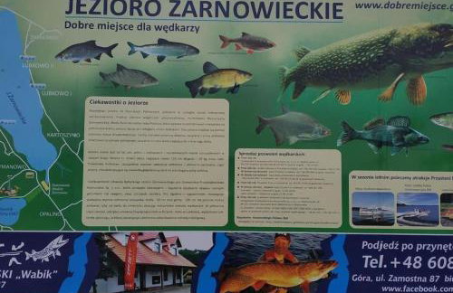 Przytulny domek w Nadolu, blisko Dębki i Białogóra - Foto 17