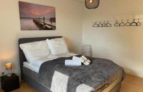 Sonniges Apartment, W-lan, Parkplatz, Autobahnnah, S-Bahn , Messe - Foto 4