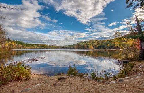 The Bear's Den - Foto 6