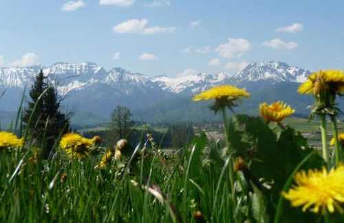 Ferienhaus Mayr - Ferienwohnung Bergblick - Foto 23