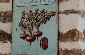 Gîtes du Bulz, en pleine forêt proche de la mer - Photo 33