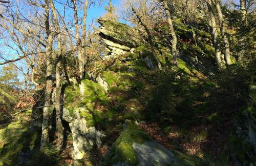 Ferienwohnung Geschwind - Foto 12