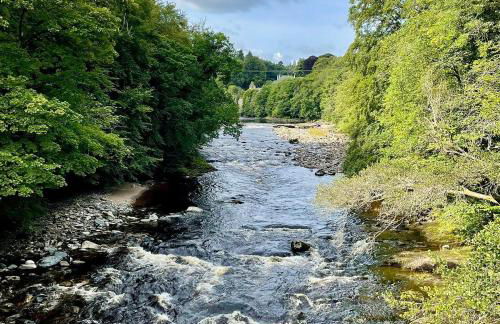 Gilmore House - 5 Bedroom Victorian Home with Hot Tub - Photo 44