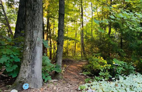 Modern Home Walk to Downtown, Hot Tub & GameRoom - Foto 62