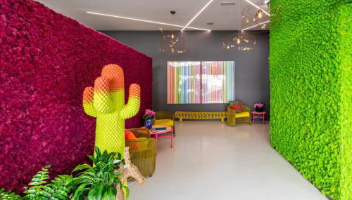 Sud Ibiza Suites - Photo 5, Lobby or reception