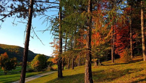 Sonnenbühl Inn Suite & Garden an den Thermen '35C' - Foto 3