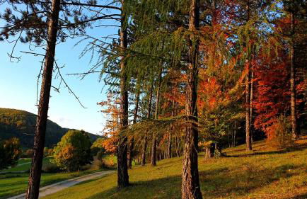 Sonnenbühl Inn Suite & Garden an den Thermen '35C' - Foto 3