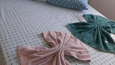 Vista Boa - Apartamento de 2 Quartos na Servidão Boa Vista - Foto 3