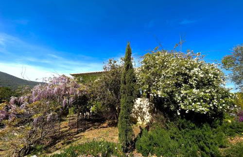 Domaine Victoria - Foto 28