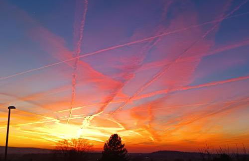 Ferienwohnung am Benther Berg - Foto 35