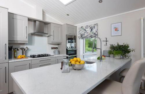 Orchid Lodge, 23 Roadford Lake Lodges - Foto 7