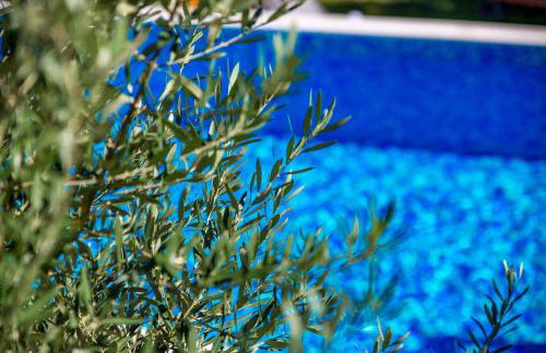 Villa Volcera - Photo 12