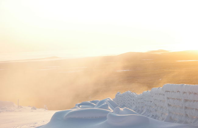 Ski-Inn PyhäSuites - Foto 31