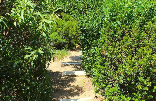 Seascape, Simon's Town - Foto 38