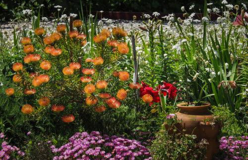 Casa de Pereiró - Foto 48