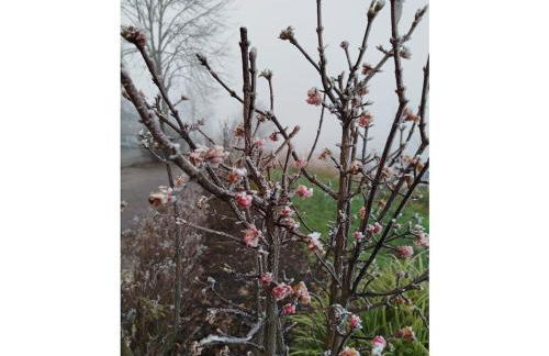 Comfort with a view of the Schaumberg mountain - Foto 16