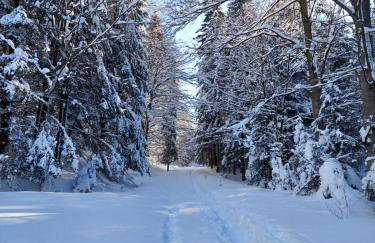 Apartament Koninki - Foto 11