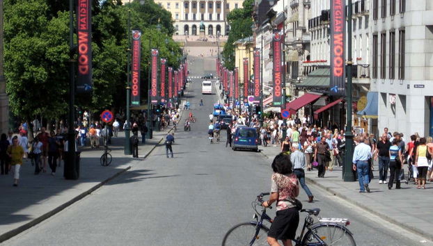 Oslo Bike Tour - Foto 4