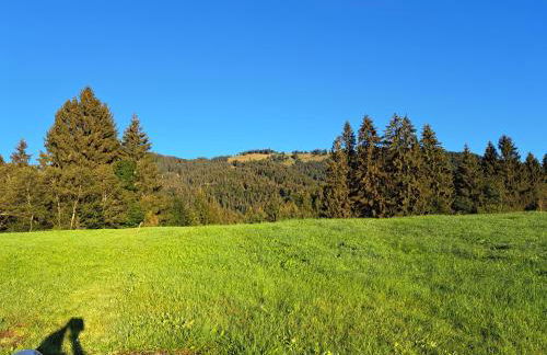 Ferienwohnung Gipfelstürmer - Photo 28