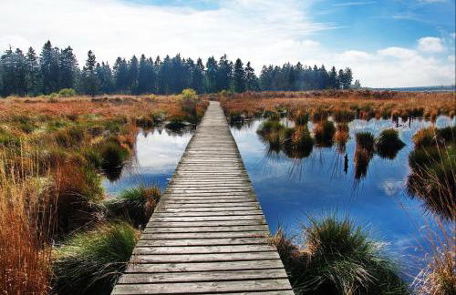 ZusammenZeit in Schleiden - inklusive Garage, großer Terrasse und 3 Schlafzimmer - ideal für Familien und Freunde - Hunde freundlich - Foto 49