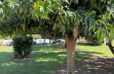 Location à Porto Vecchio - Foto 42