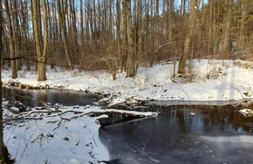 Domek w Zakątku Andrzeje Śniczany 18 - Photo 67