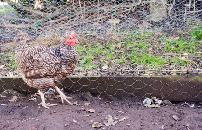 Super Spacious Barn Conversion With Free Wifi, Netflix Fireplace - Photo 53