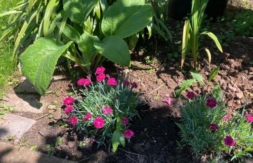 North Coast Retreat - Foto 52