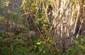 Casa reizinho - Foto 30