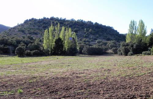 Mas de Muñoz - Foto 15