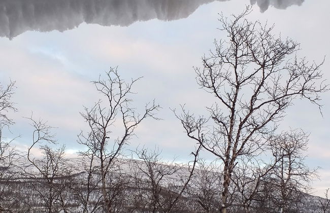 Willa kiiruna - Foto 26