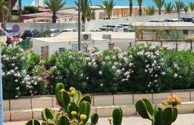 Terranova Home vista mare - Foto 27