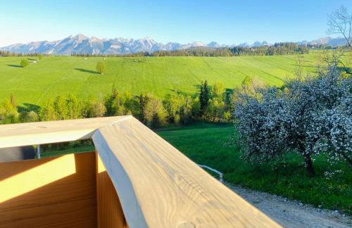 Domki Góralskie Dwa Misie - Foto 11