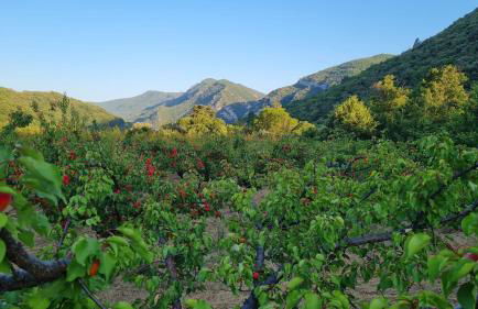 Camin'hôtes Drôme Spa Soleil Couchant - Photo 25