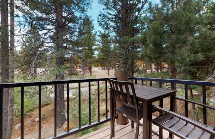 Forest Creek #29 condo - Photo 17