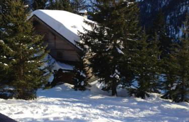 Ours Blanc #4 - 3 guests - Ski in - Ski out - Foto 25