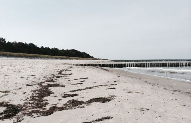 Boddensurfer 4a - Foto 13