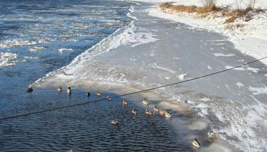 Ferienwohnung Emma - Foto 3
