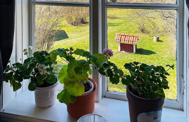 4 Person Holiday Home in Arboga-by Traum - Foto 17