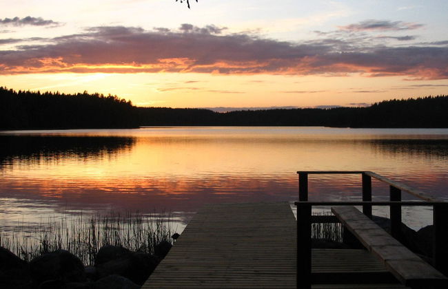 Tervaleppä - Foto 2