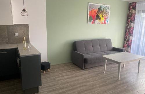 1 Tyskie Apartamenty z prywatnym ogródkiem - Foto 25